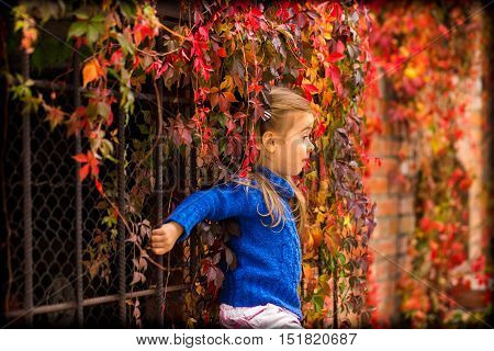 Little Girl On A Beautiful Background Of Autumn Wild Grapes