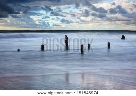 Groynes on shore of the Baltic Sea.