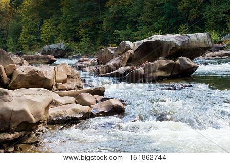 View Of Cheat River Rapids Near Albright