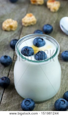 White yogurt with blueberries in glass bowl.