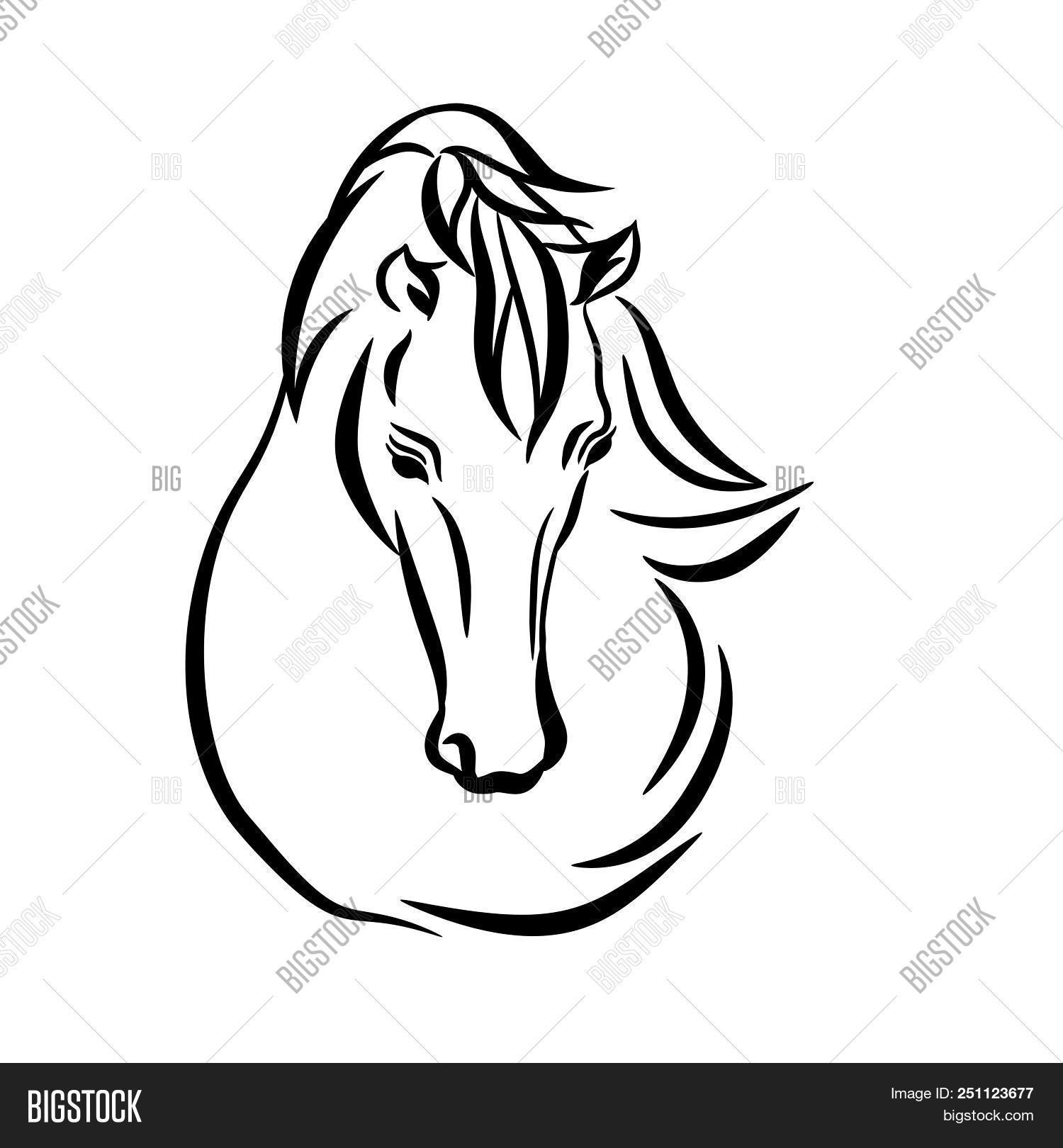 Horse Head Graphic Image & Photo (Free Trial) Bigstock