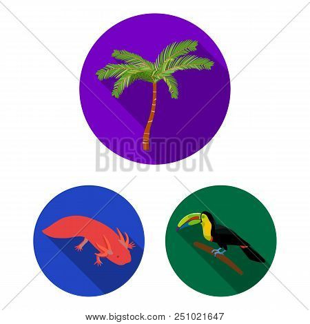 Country Mexico Flat Icons In Set Collection For Design. Mexico And Landmark Vector Symbol Stock  Ill