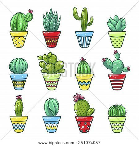 Home Cactus Set. Green Plants Grown In Bright Pots Indoors. Vector Flat Style Cartoon Illustration I