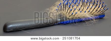 Hair Loss Problem. Comb, Hair Loss Concept