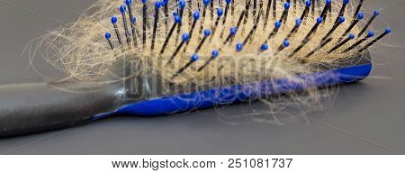 Hair Loss Problem. Comb, Hair Loss Concept