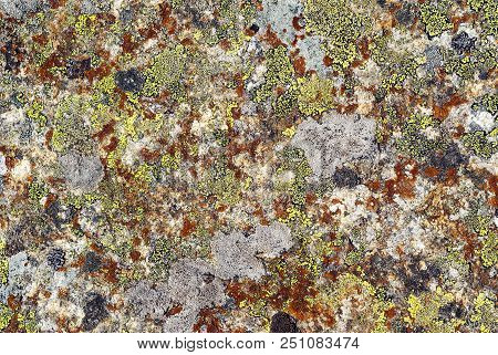 Background, Texture - Surface Of Wild Stone, Covered With Multi-colored Lichen