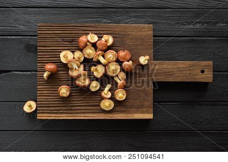 Forest Edible Mushrooms. Raw Slippery Jacks (suillus Luteus) On Oak Board Above View Copyspace