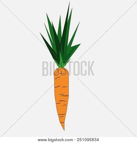 Carrot, Green, Food, Vegetable, Leaves Stem, Ingredient