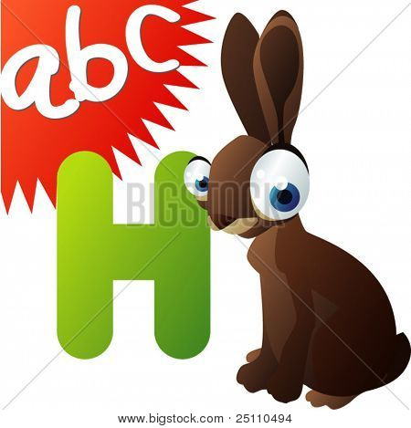 H 是对海尔