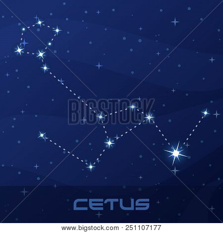 Constellation Cetus, Whale, Sea Monster, Night Star Sky, Flyer Advertisement
