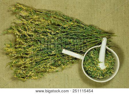 Melilot. Dry Herbs For Use In Alternative Medicine, Phytotherapy, Spa, Herbal Cosmetics. Preparing I