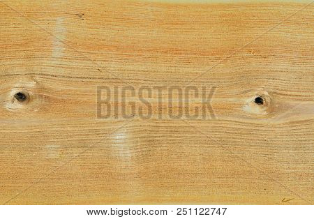 A Close Up Of The Surface Of Wood (phellodendron Amurense).