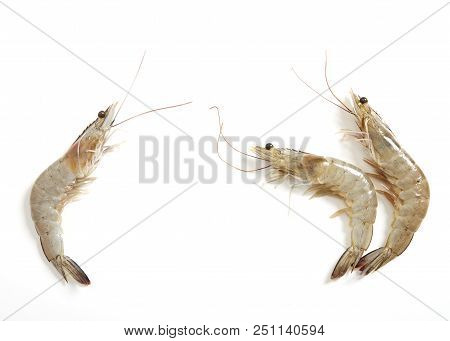 Raw Fresh Tiger Shrimp On White