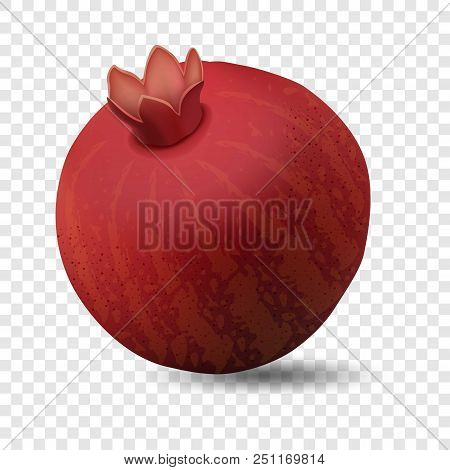 Pomegranate Icon. Realistic Illustration Of Pomegranate Vector Icon For On Transparent Background