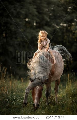Little Girl With Horse At Summer Evening Day