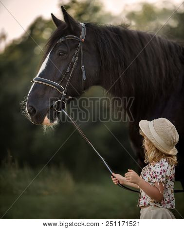 Little Girl With Shire Horse At Summer Evening Day