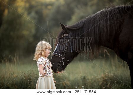Little Girl With Shire Horse At Summer Evening Day