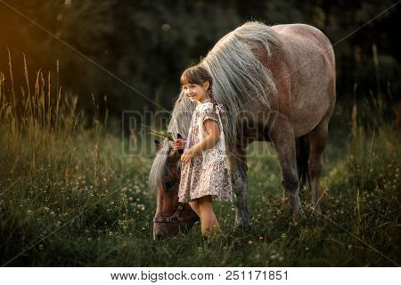 Little Girl With Horse At Summer Evening Day