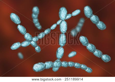 Haemophilus Ducreyi Bacteria, 3d Illustration. Gram-negative Coccobacillus, Which Causes The Sexuall