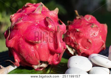 Fresh Red Dragon Fruit On Green Leaf With Stones