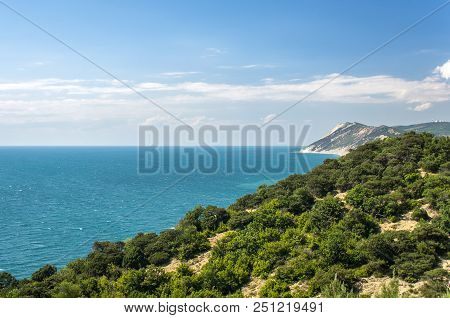 Sea View From The Mountain With Trees. Horizontal Frame