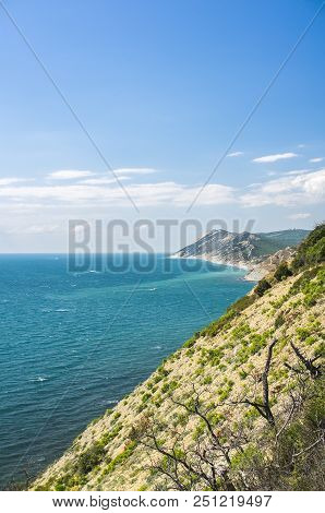 Sea View From The Mountain With Trees. Vertical Frame