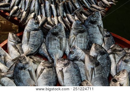 Gray Mullets On Red Tray At Fish Monger