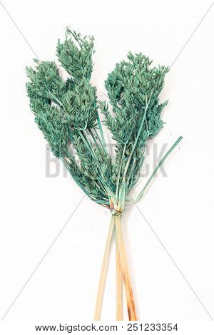 Closeu P Of Dry Green Grass On White Background