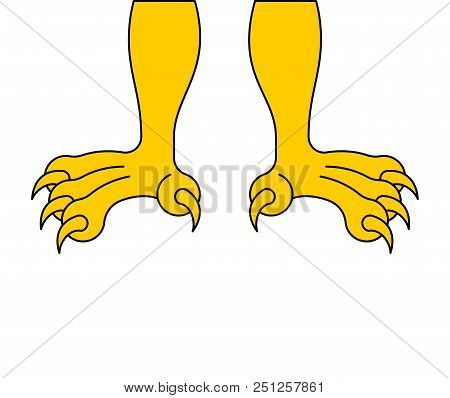 Paws Of Eagle Isolated. Feet Hawk. Vector Illustration