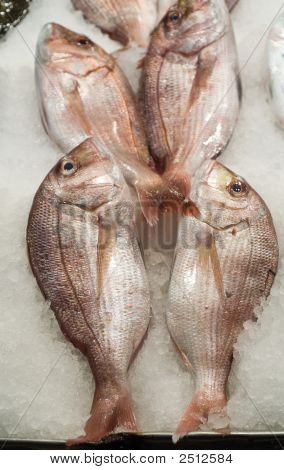 Redfishes Välimerelle paikalliselta torilta