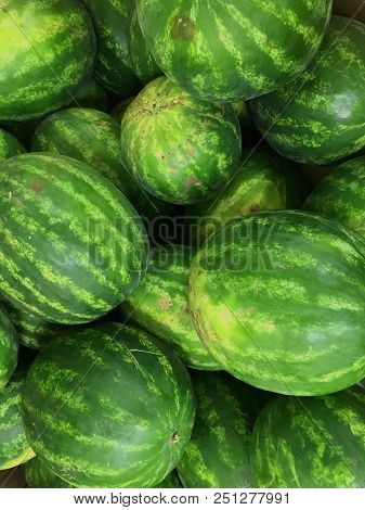 Market Counter With Delisios Watermelons. Fresh Melon In Sun's Rays. Glare On Berries.