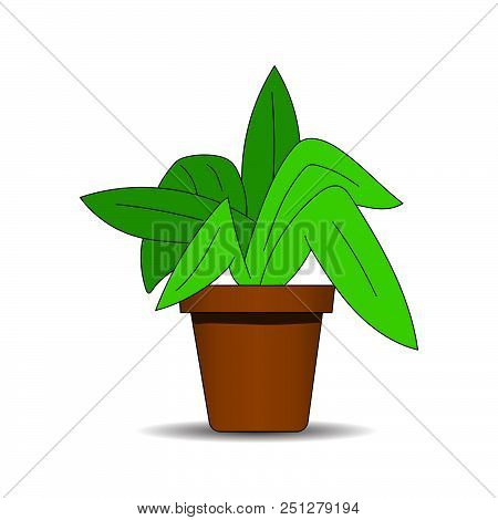 Cartoon Flowers In Vase For Your Design, Card. Vector Illustration Isolated On White Background. Han