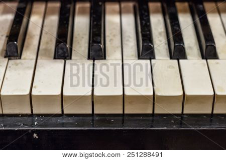 Pianoforte, Front View Instrument, Musical Instrument. Learn To Play The Instrument At Home. White L