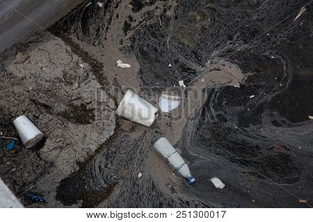 Styrofoam Cups And Bottle Water Showing Pollution