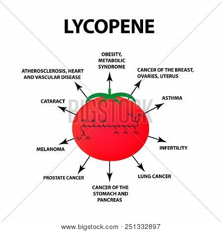 Lycopene Treats The Disease. Tomato Is Useful. Vector Illustration On Isolated Background