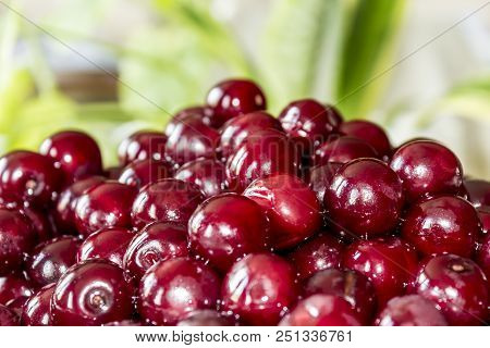Cooking Cherry Jam.wet  Deep Red сherries On A Background Of Green Leaves . Site About Fruits, Berri