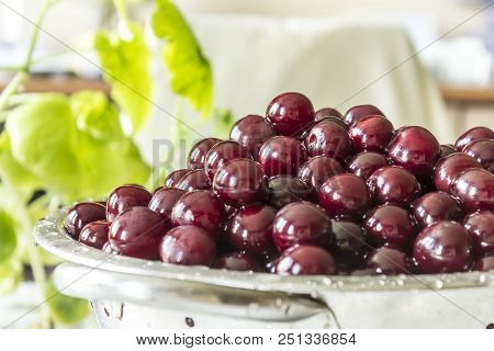 Cooking Cherry Jam.a Washed Dark Red сherries In A Colander On A Background Of Green Leaves. Site Ab