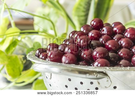 Cooking Cherry Jam.a Washed Dark Red сherries In A Colander On A Background Of Green Leaves. Site Ab