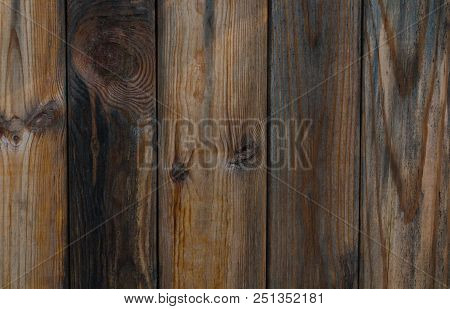 Vertical Wood Texture, Wooden Planks Background. Vertical Striped Format. Close-up. Copy Space Conce