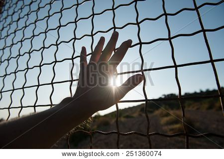 Male Human Hand Touching Fence Cage In Jail And Illegal Immigration On Sunset