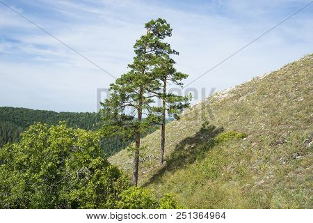 Strelnaya Mountain. Attraction Of The Samara Region. On A Sunny Summer Day