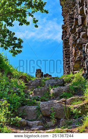 Ruins Of The Kanko Castle, Vinogradiv, Ukraine