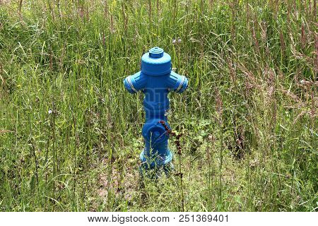 Blue Metal Fire Hydrant Completely Surrounded With Fresh And Dried Tall Uncut Grass And Other Vegeta