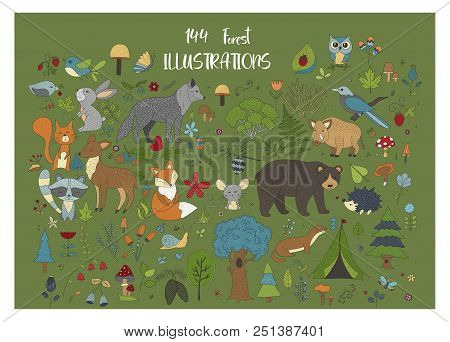 Big Set Of Hand Drawn Forest Illustraitions With Color Cartoon Animals On A Green Background.