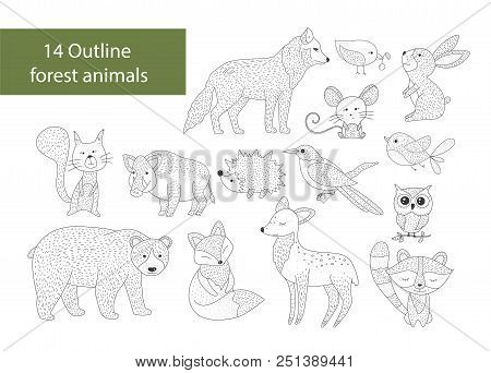 Big Set Of Hand Drawn Forest Illustraitions With Outline Animals On A White Background. Woodland Ico