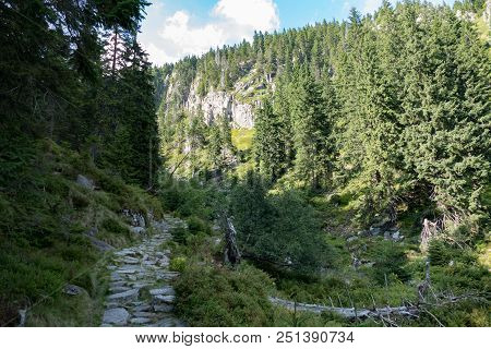 Summer Landscape In Krkonose Giant Mountains In Czechia