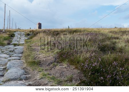 Summer Landscape In Krkonose Giant Mountains In Czechia