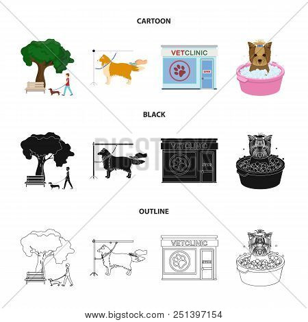 Walking With A Dog In The Park, Combing A Dog, A Veterinarian Office, Bathing A Pet. Vet Clinic And 