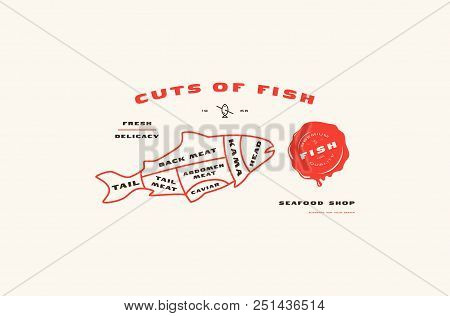 Stock Vector Fish Cuts Diagram In Thin Line Style. Color Print On White Background