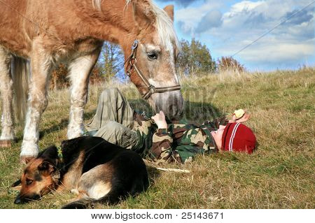 Junge, Pferde und Hunde